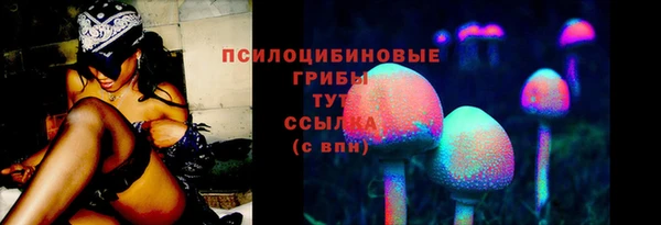прущие крисы Козельск