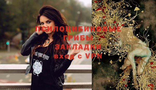бошки Кодинск